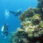 Anso (Nelson Reef) Marsa Shagra