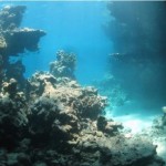 Grottes - Shaab Abu Dhabab (Marsa Shagra)