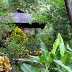 15 10 -Froggies - vue des bungalows Bungalows chez Froggies