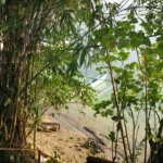 2 11 09 - Paysage - Froggies - Bunaken (47) Froggies, vue du bungalow