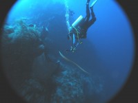 05 12 10 - Isa et les serpents de Gunung Api Island (Banda Sea)