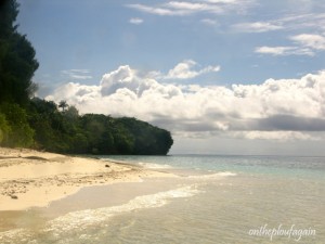 60 - Mansuar Island (Raja Ampat)