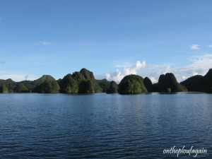 80 - 4ème couverture - Archipel des Wayag (Raja Ampat)