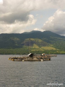 92 - Détroit de Lembeh