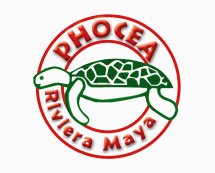 Phocea Riviera Maya