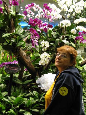 Jardin d'orchidées (Aéroport de Singapour)