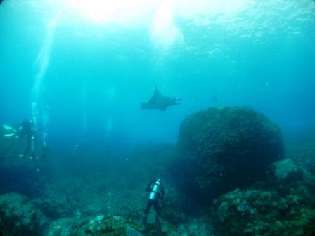 Manta Point : l'attente (Bali)