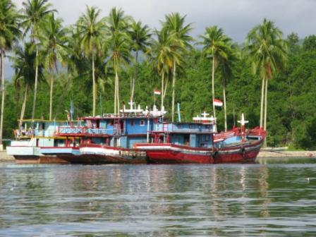 Chalutiers (Ambon - Molluques)