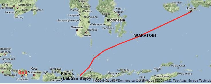 Flores - Ambon en passant par Wakatobi