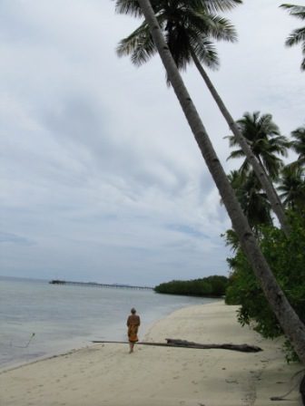 Promenade (Mansuar Island - Raja Ampat)