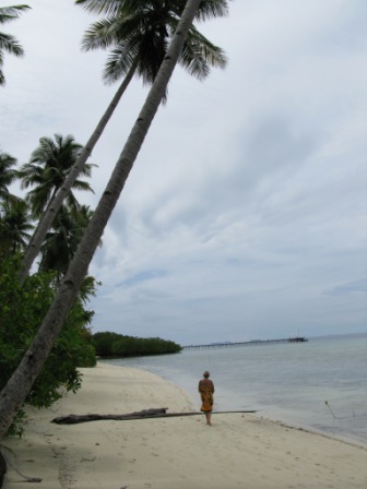 Promenade (Mansuar Island - Raja Ampat)